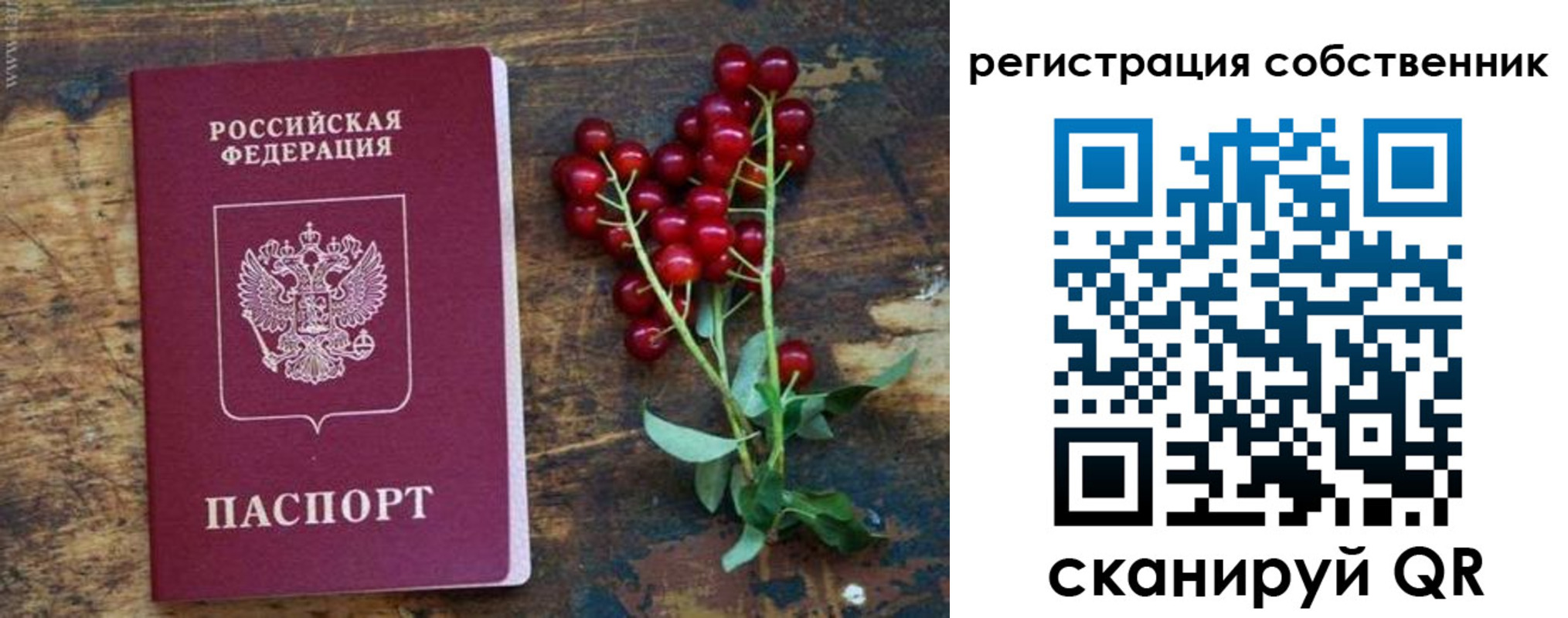 регистрация для дет. сада в Зарайске
